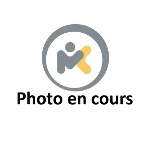 KIT REPARATION PALIER ADAPTABLE ROUSSEAU 04-301226
